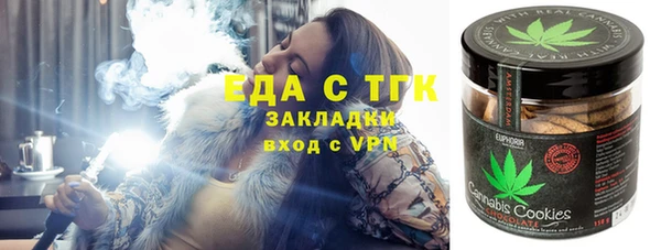 гашик Алексин