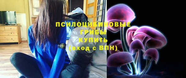 а пвп мука Алексеевка