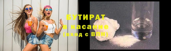 гашик Алексин