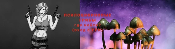 гашик Алексин