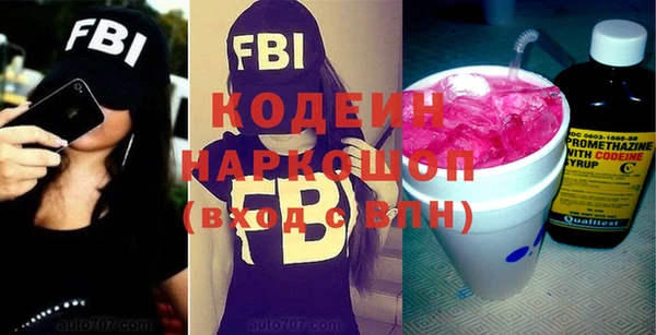 гашик Алексин