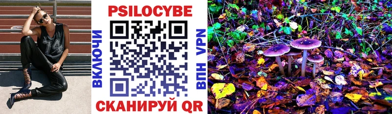Псилоцибиновые грибы Cubensis  MEGA ссылка  Юрьев-Польский  наркошоп 